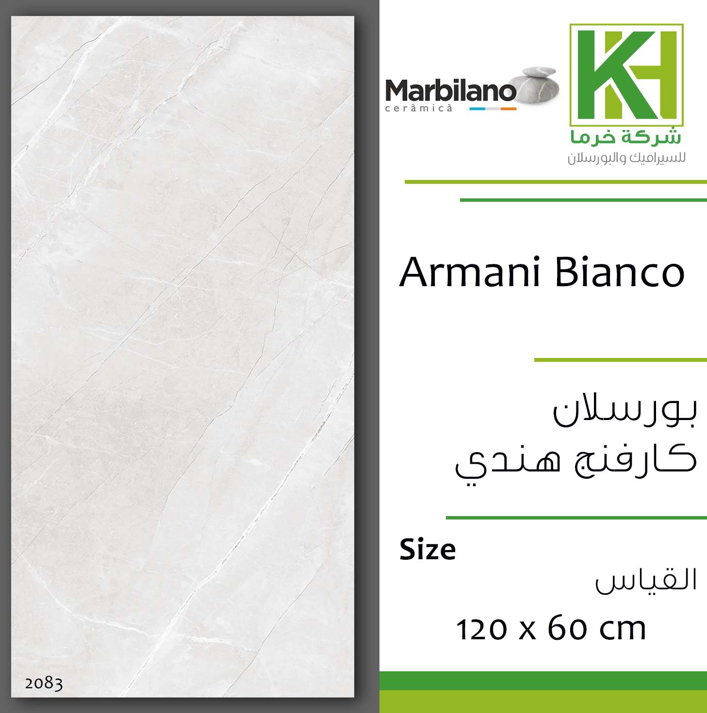 Picture of Indian porcelain matt carving tile 60x120cm Armani Bianco